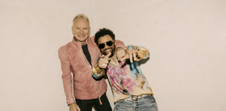 sting-and-shaggy