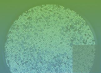 pepper-tree-legal-news