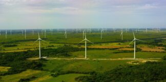 interenergy_holdings_ltd_jamaica