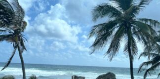 Bathsheba-barbados