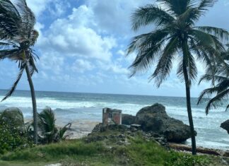 Barbados Must Guard Its Reputation: Crime Headlines Threaten More Than Image Bathsheba-barbados