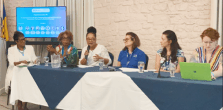 felicia-persaud-icn-panel-moderator-ccf-2025