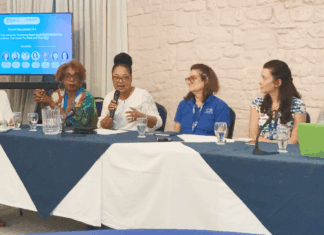 Should More Caribbean Nations Embrace Film Tax Incentives And Co-Production Treaties? felicia-persaud-icn-panel-moderator-ccf-2025