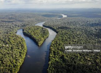 Apple Purchases And Retires 100,000 Carbon Credits From Guyana In Landmark Sustainability Move guyana-forests-credits-apple
