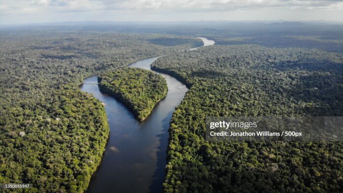guyana-forests-credits-apple