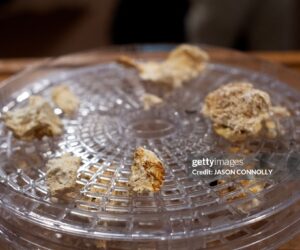 Jamaican Company Completes Landmark Psilocybin Export psilocybin-mushrooms