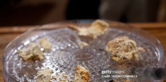 psilocybin-mushrooms