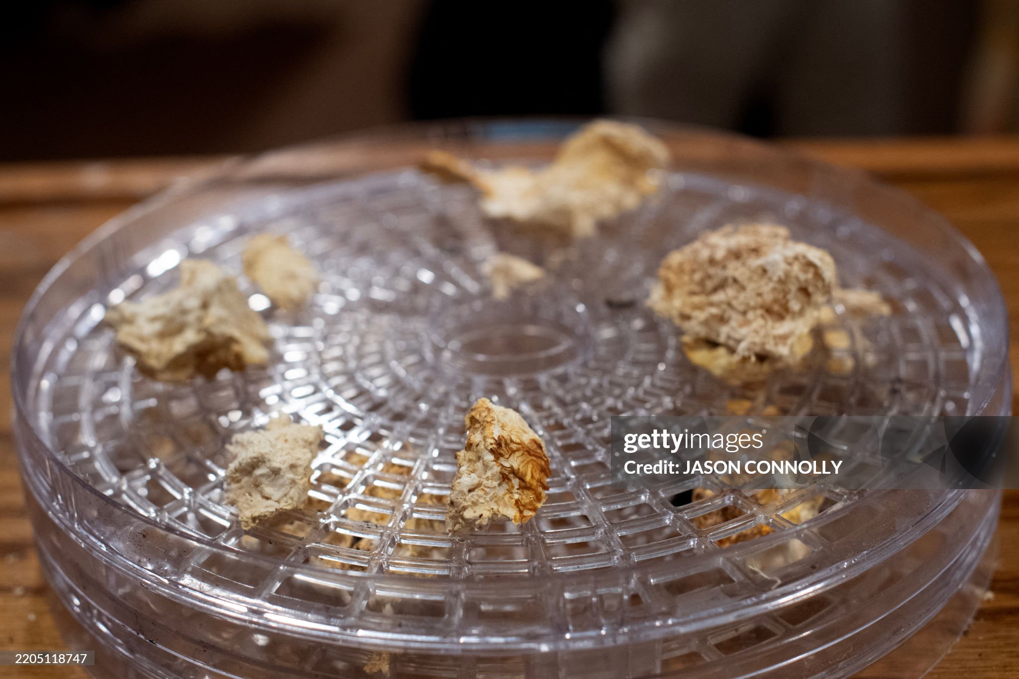 psilocybin-mushrooms psilocybin-mushrooms