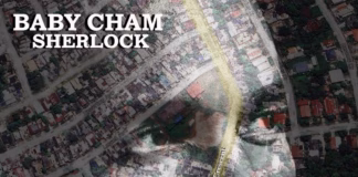 baby-cham-drops-sherlock