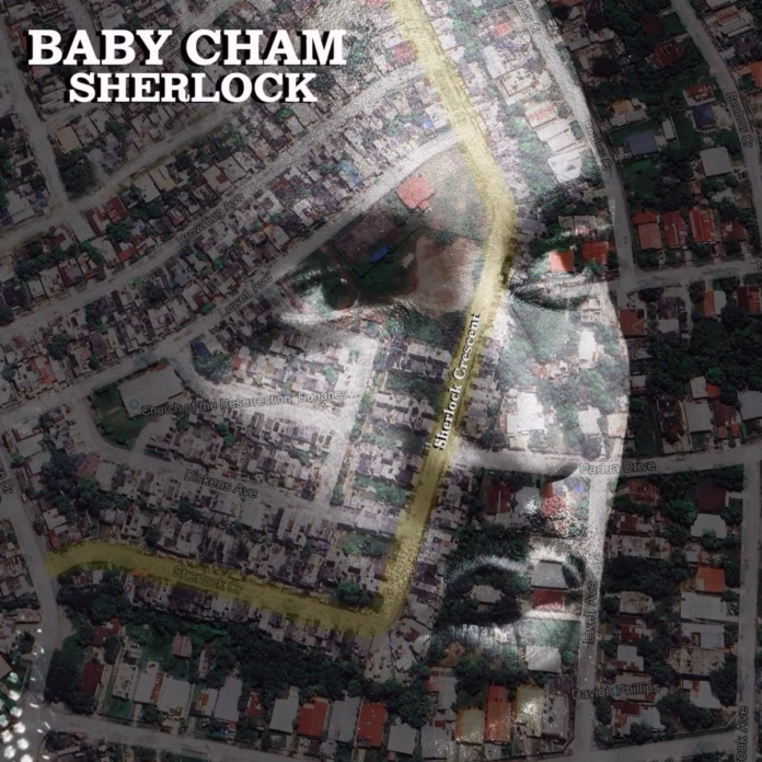 baby-cham-drops-sherlock baby-cham-drops-sherlock