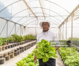 caribbean-agri-tech-opportunity