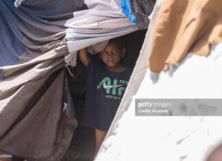 caricom-can-help-haiti