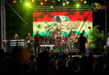 St. Vincent And The Grenadines Gets Ready For 2025 Cannabis Festival Live reggae performance on stage at CannaBliss SVG Festival in St. Vincent.