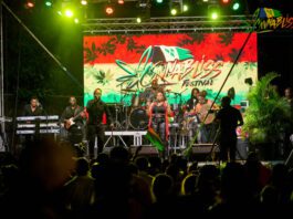 Live reggae performance on stage at CannaBliss SVG Festival in St. Vincent.