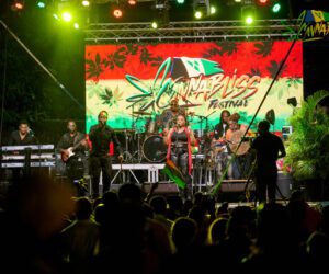 Live reggae performance on stage at CannaBliss SVG Festival in St. Vincent.