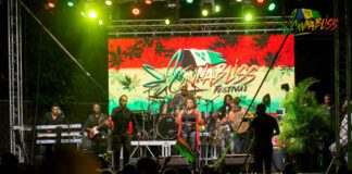 Live reggae performance on stage at CannaBliss SVG Festival in St. Vincent.