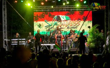 Live reggae performance on stage at CannaBliss SVG Festival in St. Vincent.