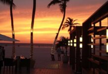 Top 15 Caribbean Restaurants You Need To Know In 2025 elements-best-caribbean-retaurant