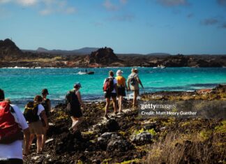 Galapagos-islands-greenwashing