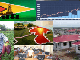 guyana-needs-a-model-of-its-own