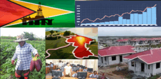 guyana-needs-a-model-of-its-own