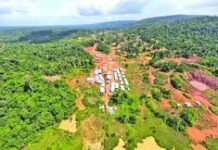 Canadian Mining Giant Aris To Build New Airstrip In Guyana Aris-Mining-Corporation-guyana