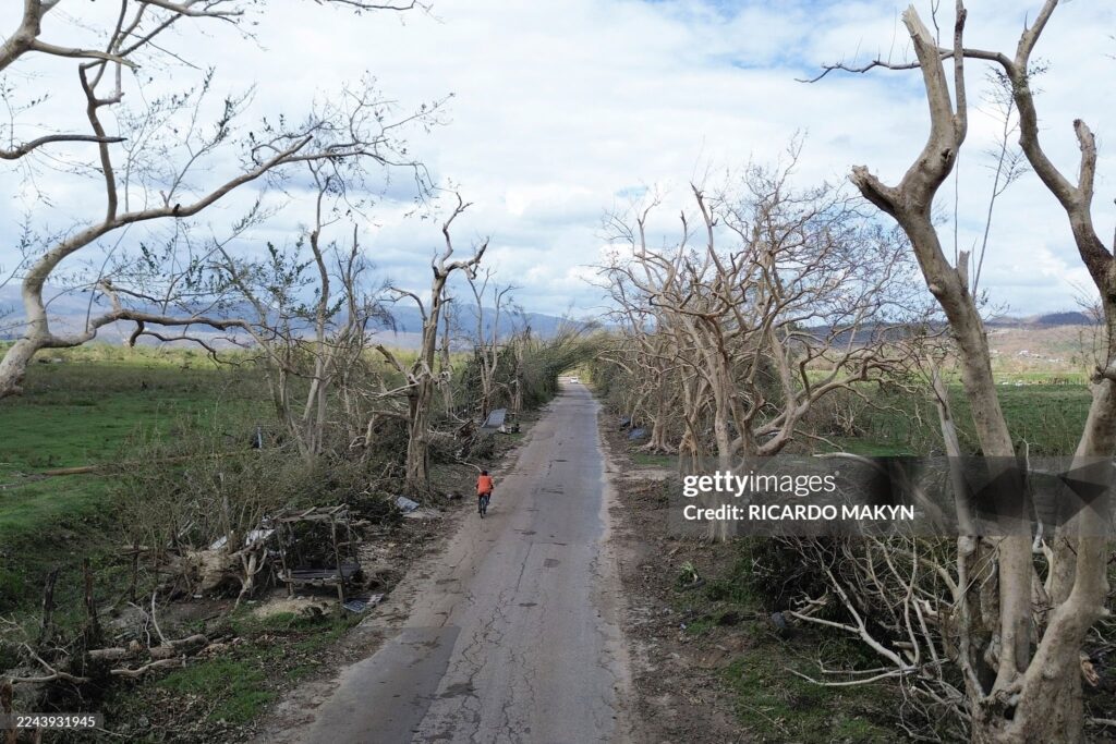 bamboo-avenue-jamaica-decimated