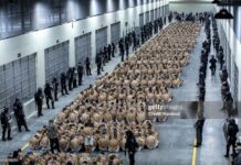 US, El Salvador Accused Of Torture and Disappearance of Venezuelan Deportees el-salvador-prison