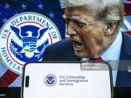 What Caribbean Immigrants Need To Know About The New Green Card Rules donald-trump-administration-new-green-card-rules-to-know