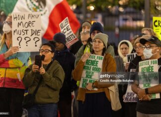 fee-increases-come-as-immigration-protests-continues-on-heels-of-killing-of-renee-good