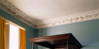 The Mahogany That Built Britain And Bankrupted the Caribbean The Mahogany That Built Britain And Bankrupted the Caribbean