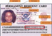 Nyan Reynolds reflects on Alien Registration Numbers, naturalization, identity and the emotional weight of the letter “A” in U.S. immigration.