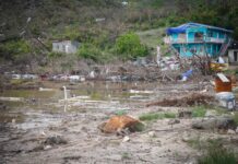 “They Want Us To Die”: The Triple C Crisis, The Caribbean Person, And What We Must Do For Ourselves