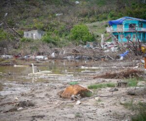 The Triple C Crisis, The Caribbean Person, And What We Must Do For Ourselves “They Want Us To Die”: The Triple C Crisis, The Caribbean Person, And What We Must Do For Ourselves