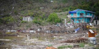 “They Want Us To Die”: The Triple C Crisis, The Caribbean Person, And What We Must Do For Ourselves