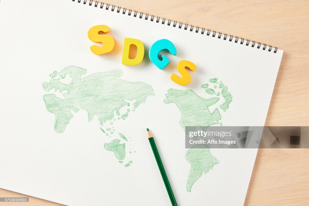 The Imperative Of South–South Cooperation For Developing Countries