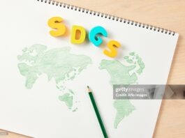 The Imperative Of South-South Cooperation For Developing Countries The Imperative Of South–South Cooperation For Developing Countries