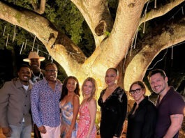Taye Diggs To Star In New Lifetime Romance Filmed In Nevis – Birthplace Of Hamilton Taye Diggs To Star in New Lifetime Romance Filmed in Caribbean Island of Nevis